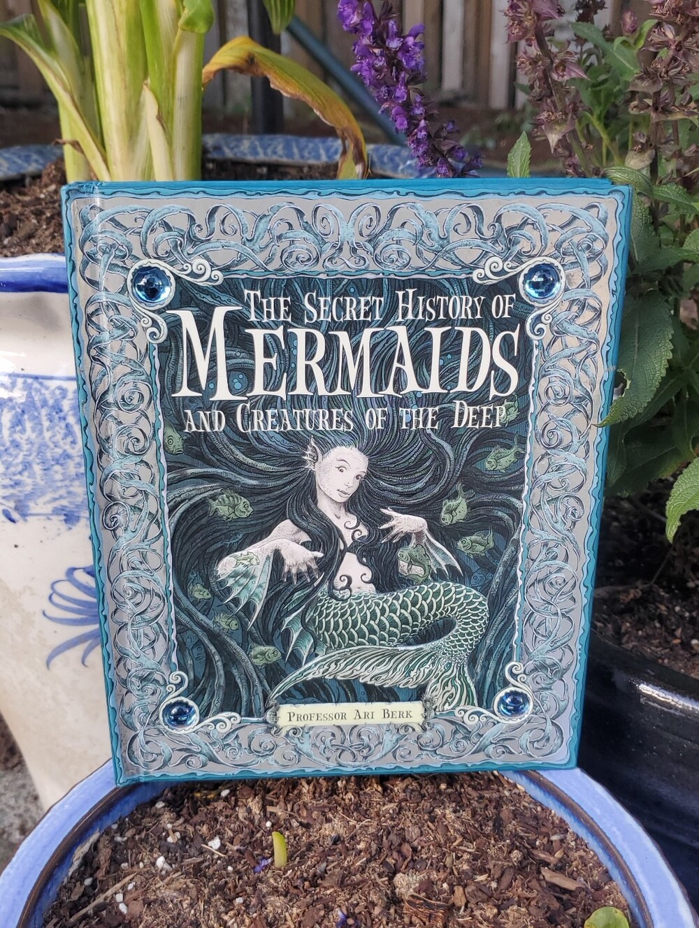 BOGO The Secret History of Mermaids and Creatures of the Deep